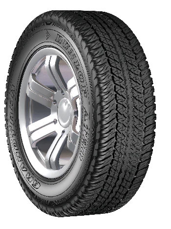 225/70R17C Dunlop AT20 108/106S XL Tyre