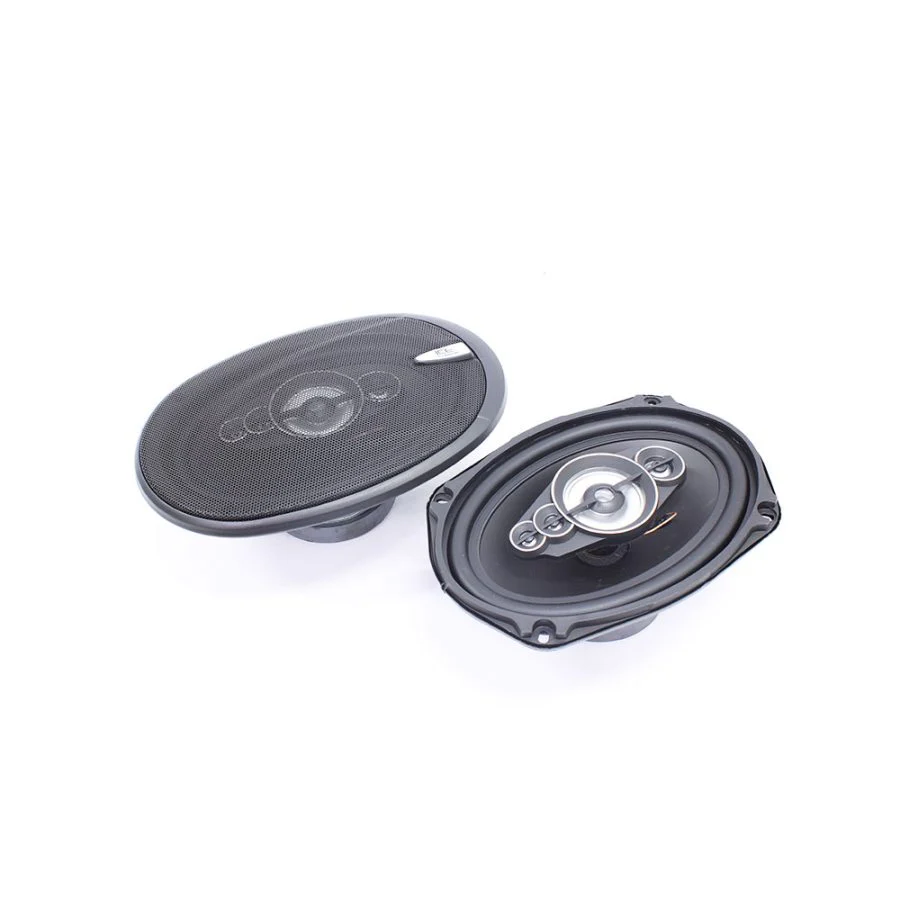 Ice Power IPS-699 6x9" 600w 5way Speakers - Car Audio
